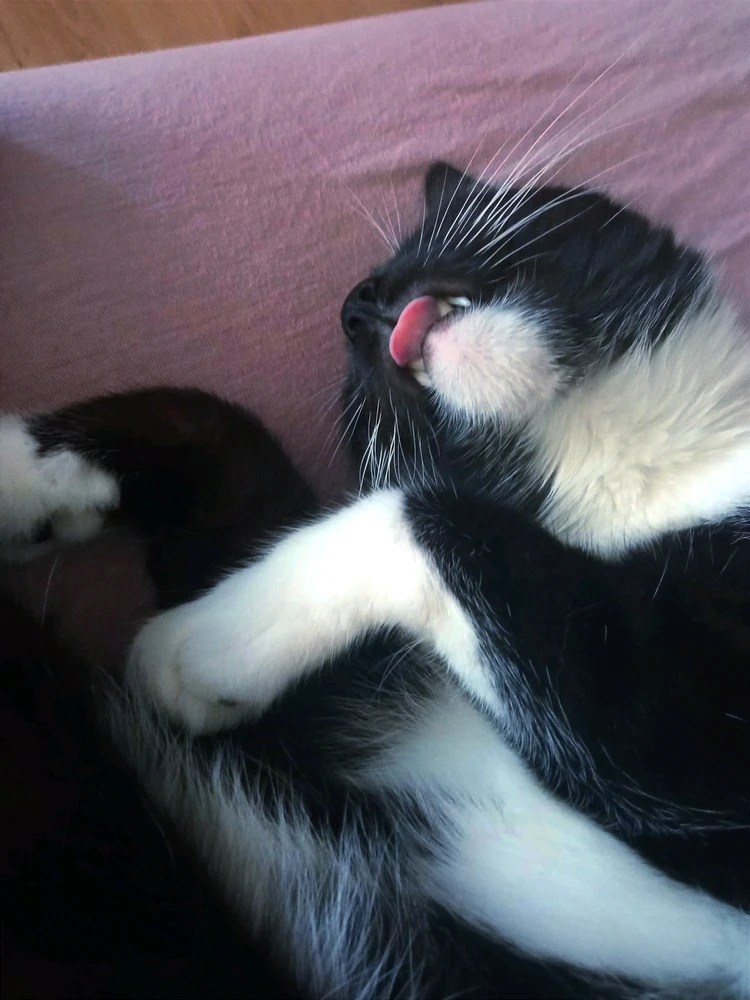 Oliver cute boy 🖤