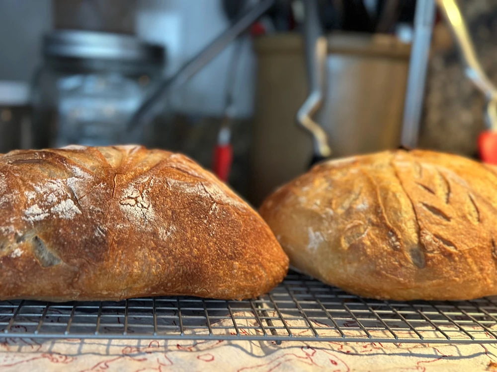 Image uploaded by Carson