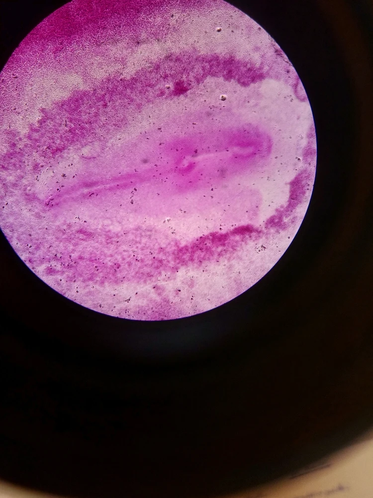 Image ajoutée par Vincent