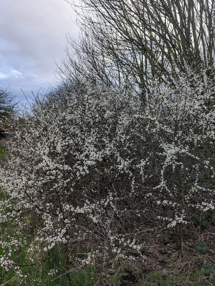 Image uploaded by Stacey