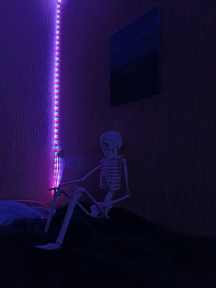 Фото загрузил Angelina