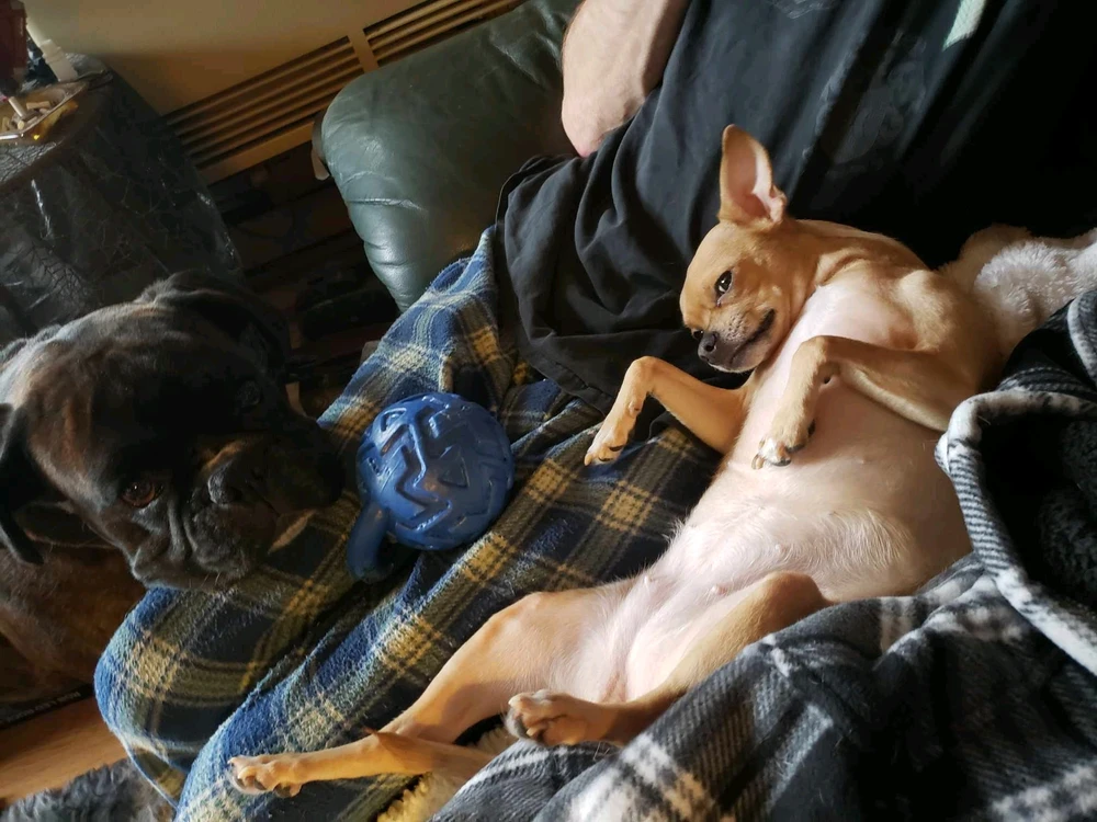 Image uploaded by Jason