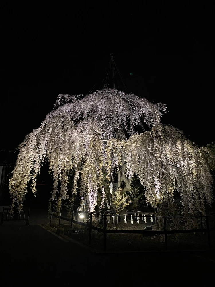 Kansayがアップロードした画像