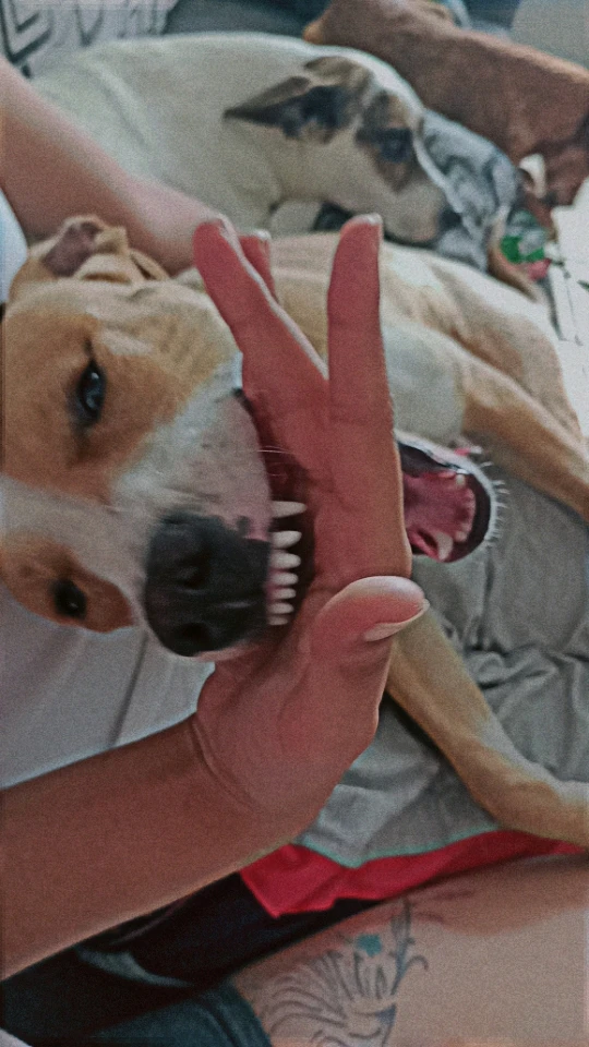 Bild hochgeladen von Jose