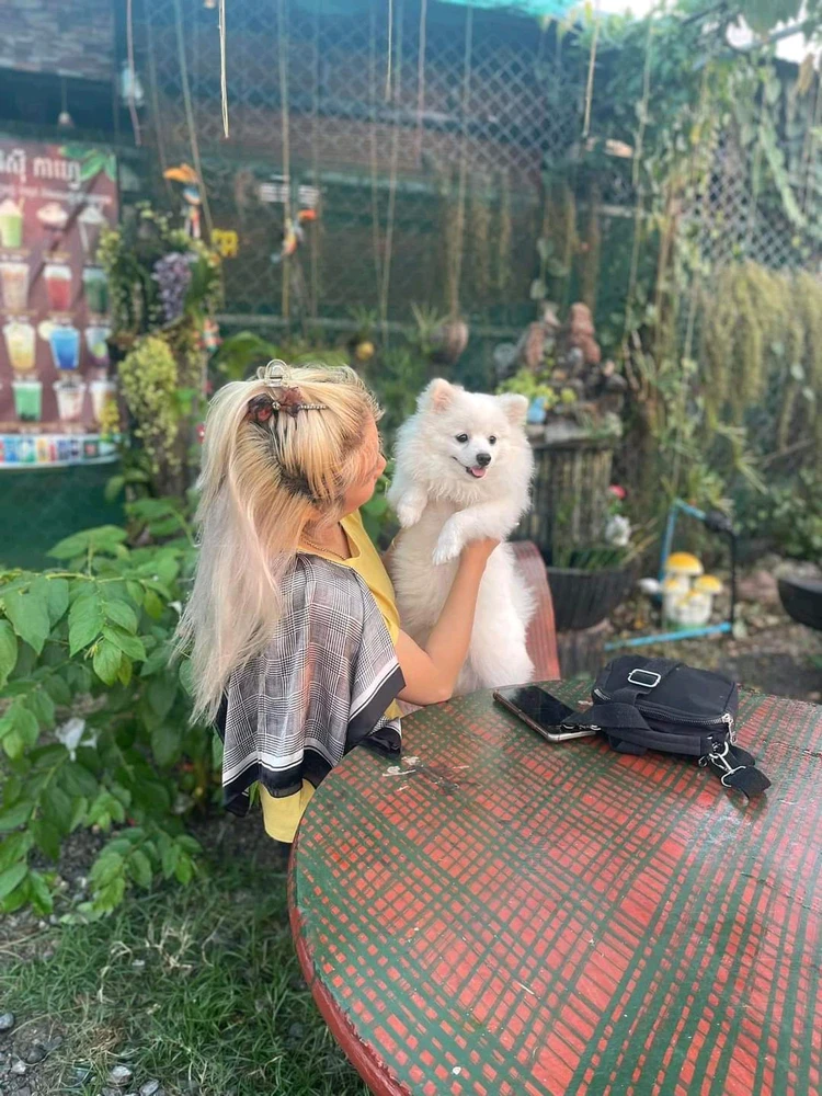 រូបភាពបង្ហោះដោយ YAYA Brown 🇰🇭