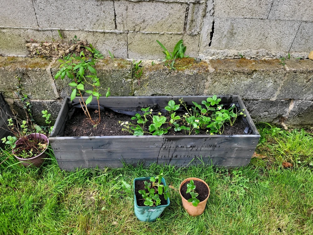 Image ajoutée par Emeline