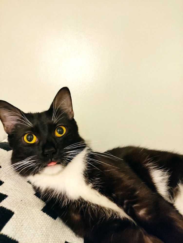 Image uploaded by May