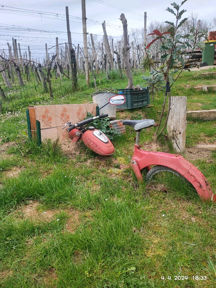 Sliko je naložil Gtega