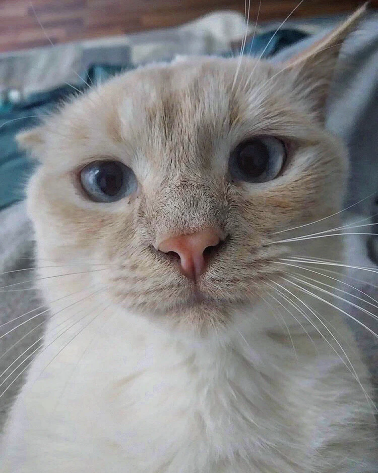 Фото загрузил Sergiu