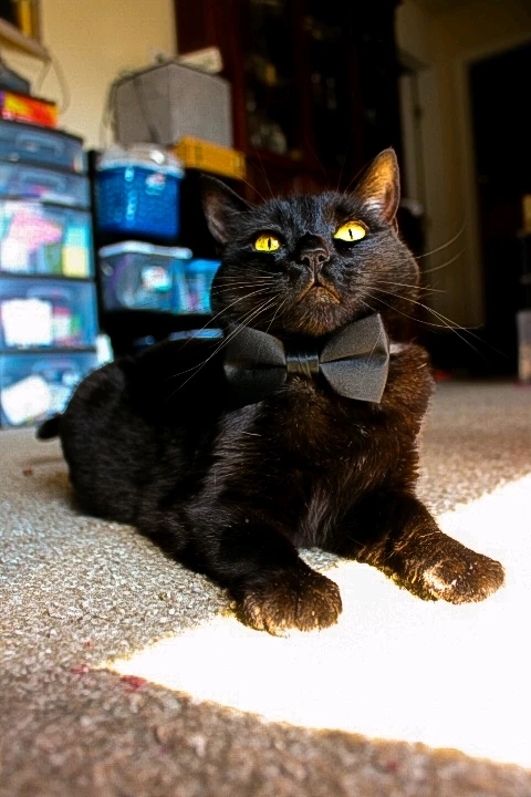 Image uploaded by Sara