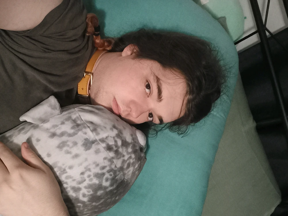 Photo of a trans women lying in bed with a brown leather collar on, cuddling a seal plush