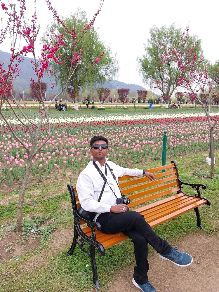 Tulip Garden