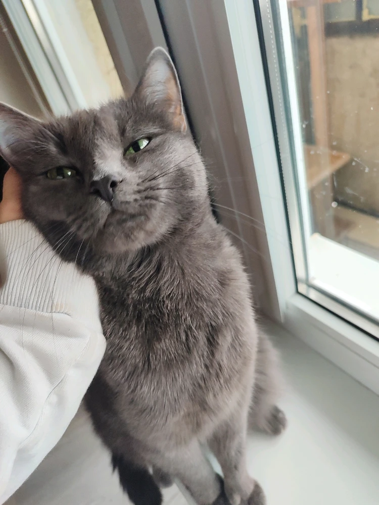 Фото загрузил Снежана