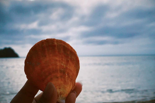 Image uploaded by Mariane