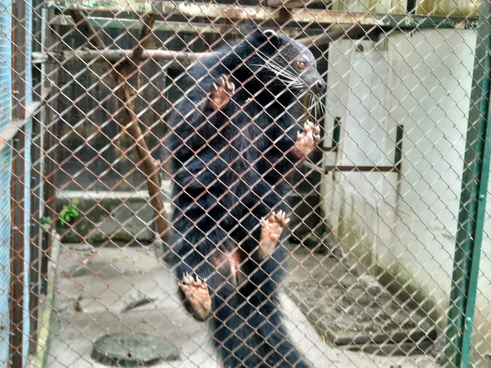 Image uploaded by Edo