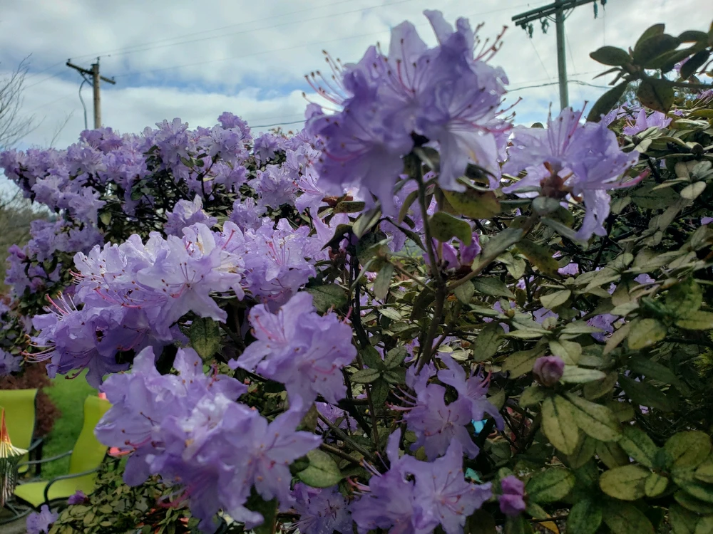 Image uploaded by ๐๐ฃ. BLAH