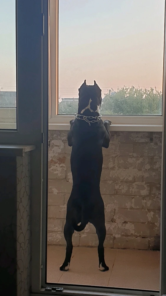 Nuotrauką įkėlė Edgaras