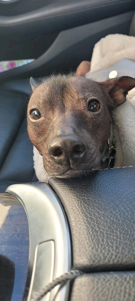 Image uploaded by Batgalim