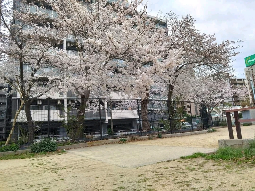 ヒルマン (Hilman)がアップロードした画像