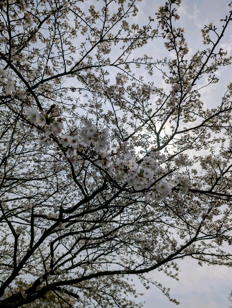 Gambar diunggah dening Mitch