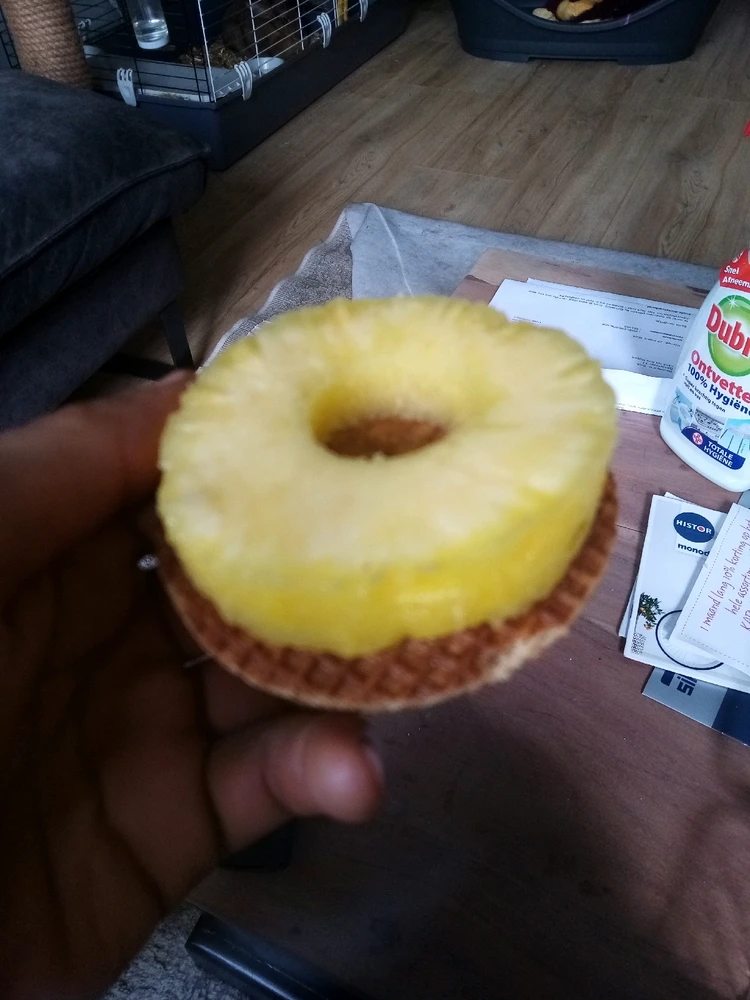 Bild hochgeladen von Robert