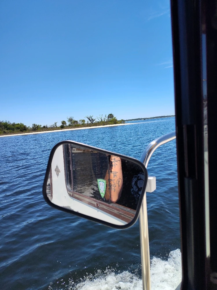 Image uploaded by Plx81