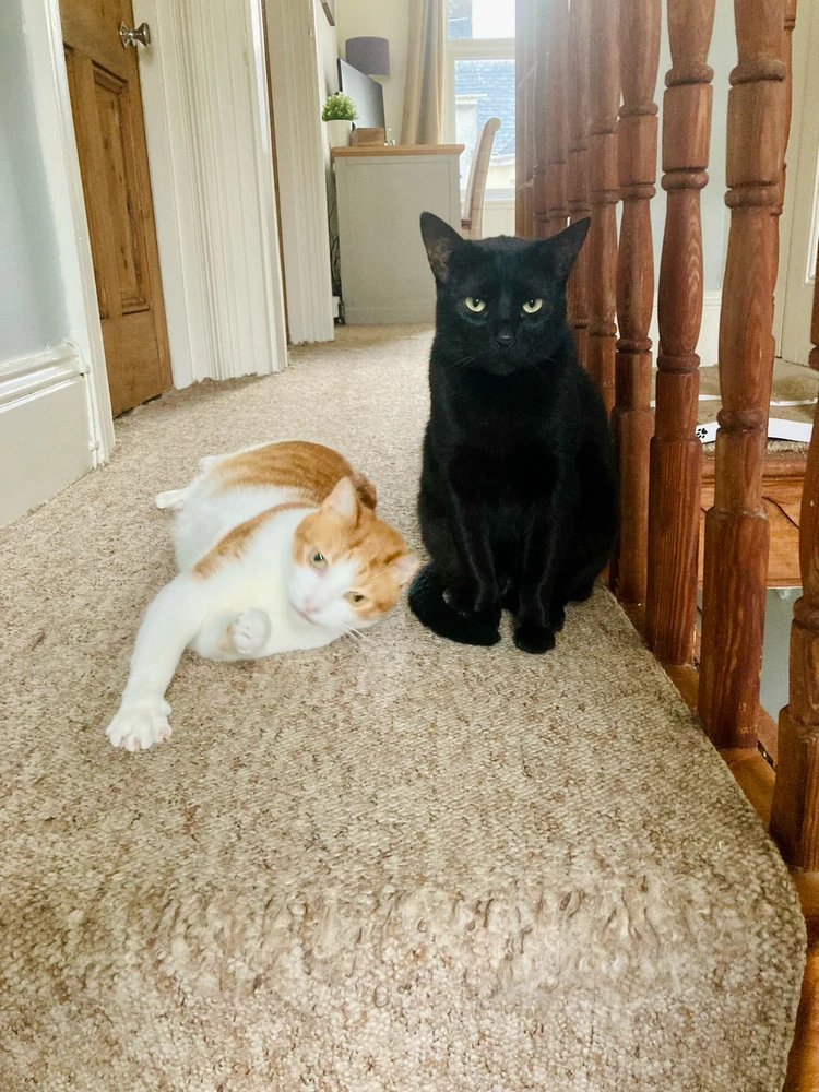 Image uploaded by Alex