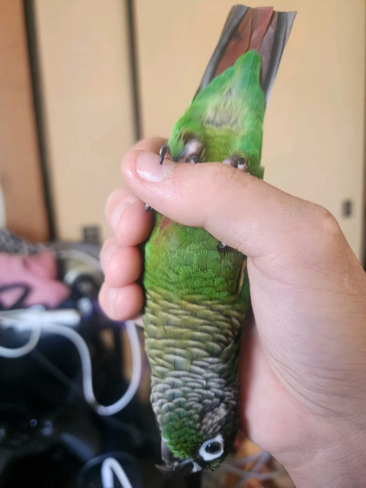 Image uploaded by Shima