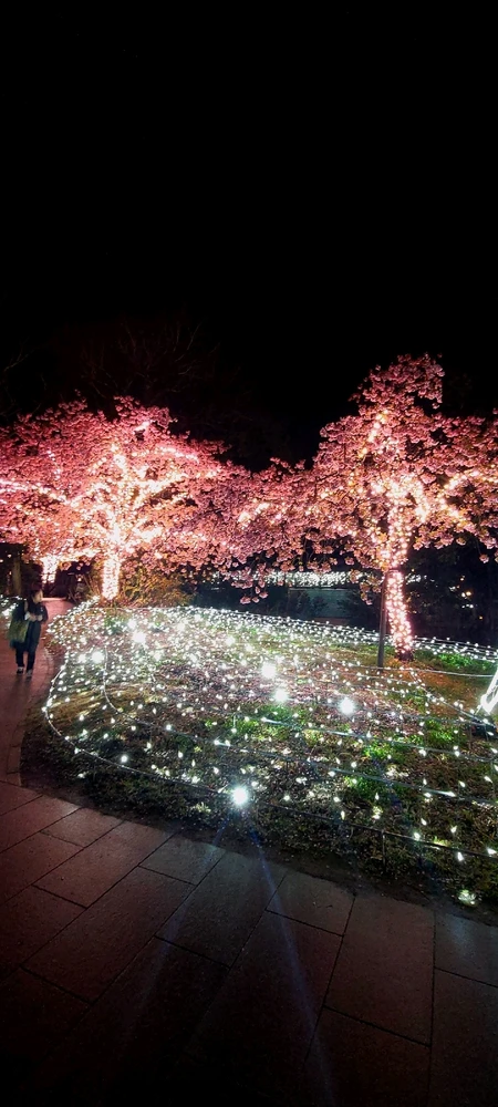 Image uploaded by Cal