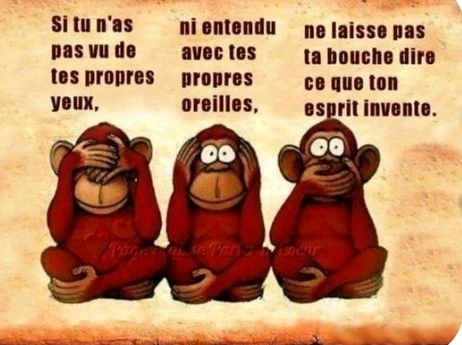 Image ajoutée par Franck