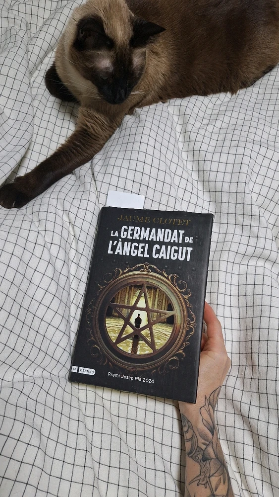 Imatge pujada per Núria