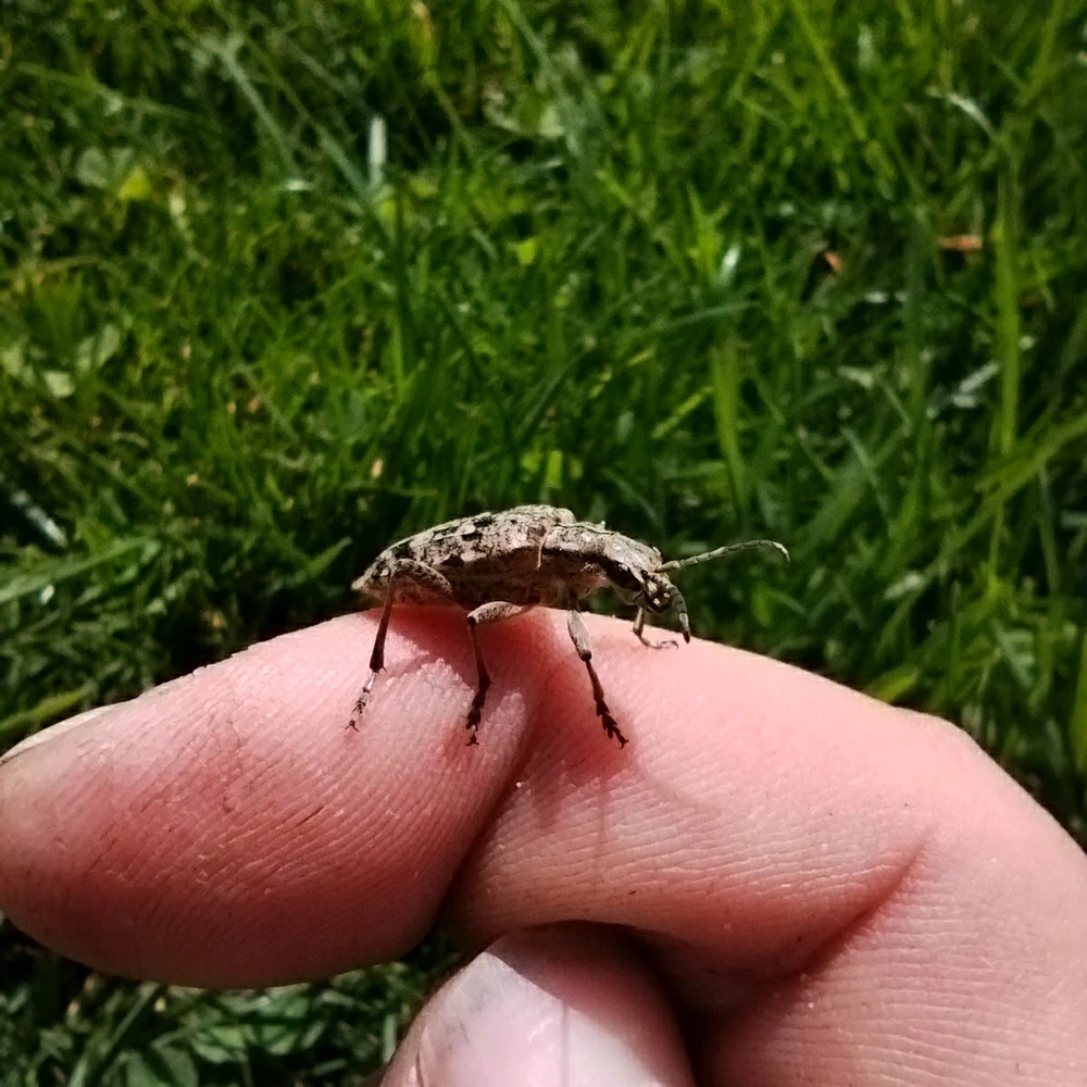 Obrázek nahrál Matěj