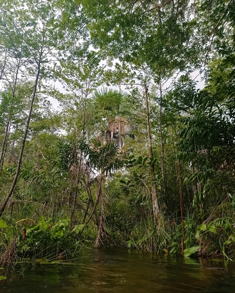 Imagem enviada por Vanessa