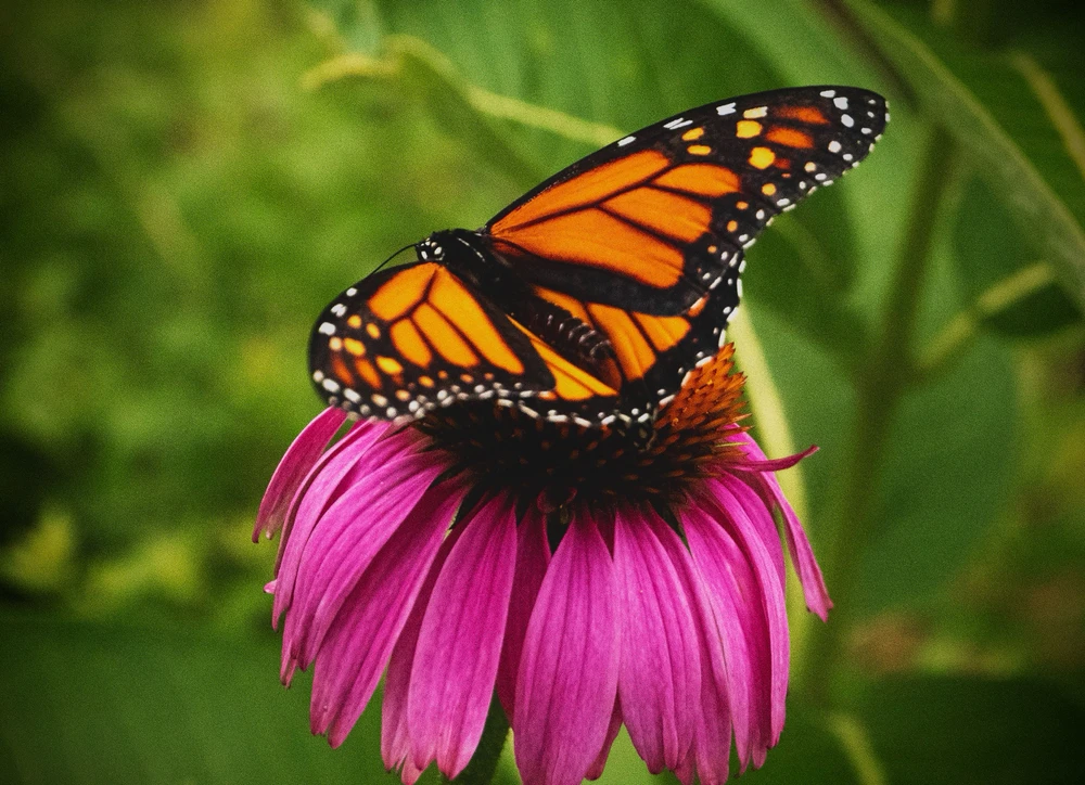 Image uploaded by Benjamin