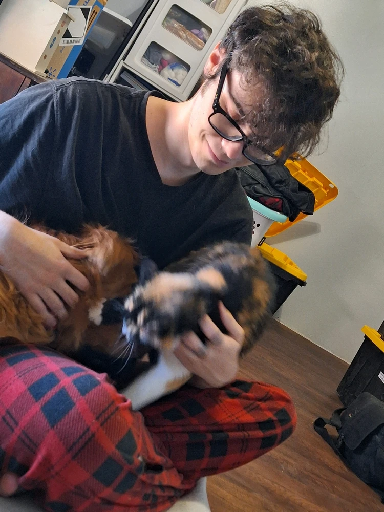 Image uploaded by Bat