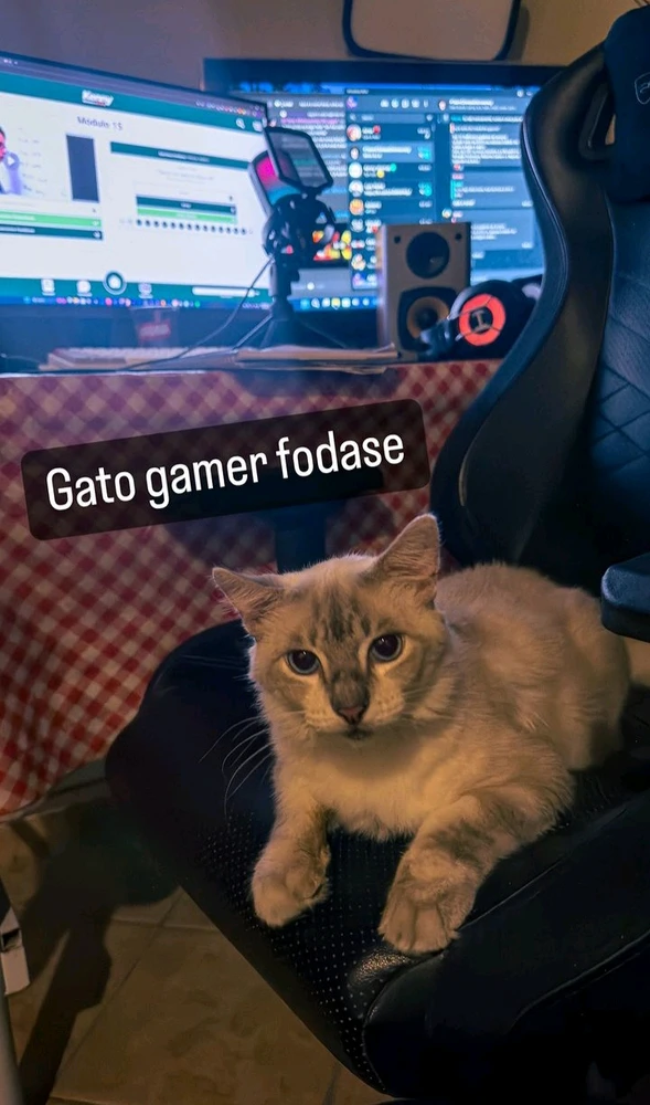 Imagem enviada por Breno Quintanilha