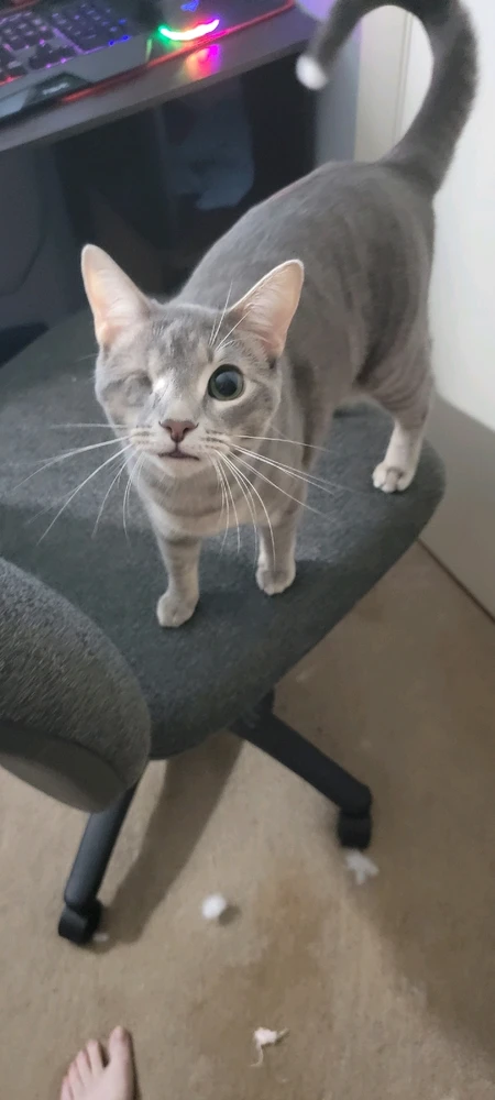 Bow before the allfather