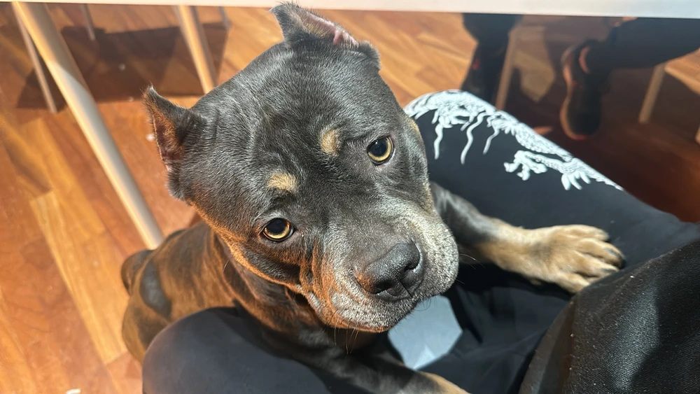 Immagine caricata da Max