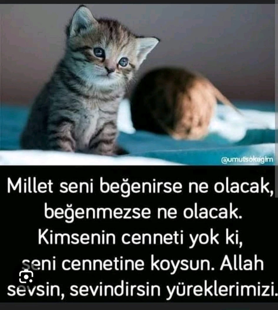 Burak tarafından yüklenen görsel