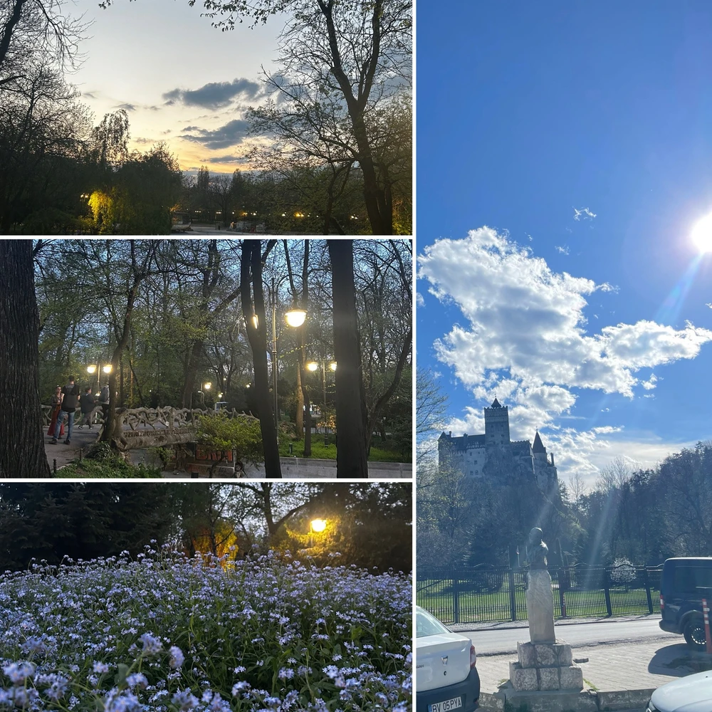 Gambar diunggah dening Shelley