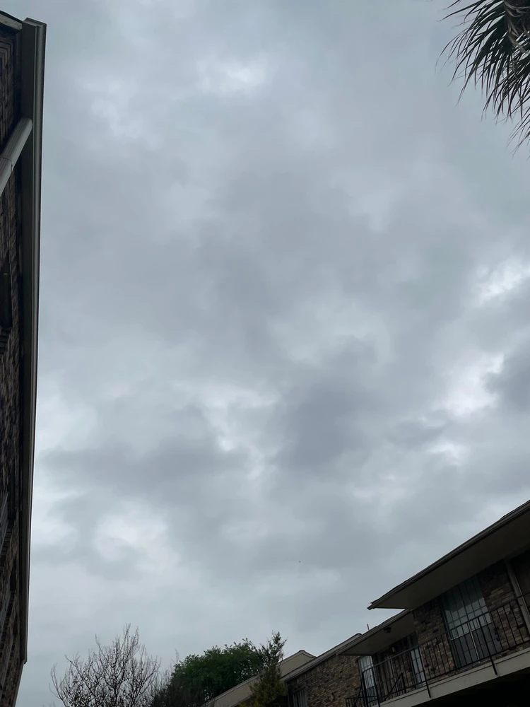 由droolstain上传的图片