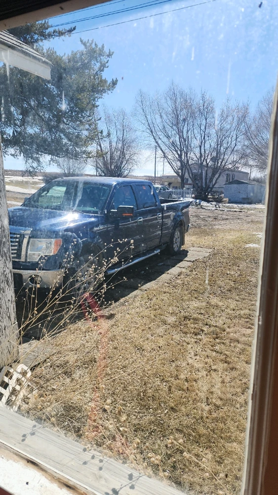 Image uploaded by 12pawsinn