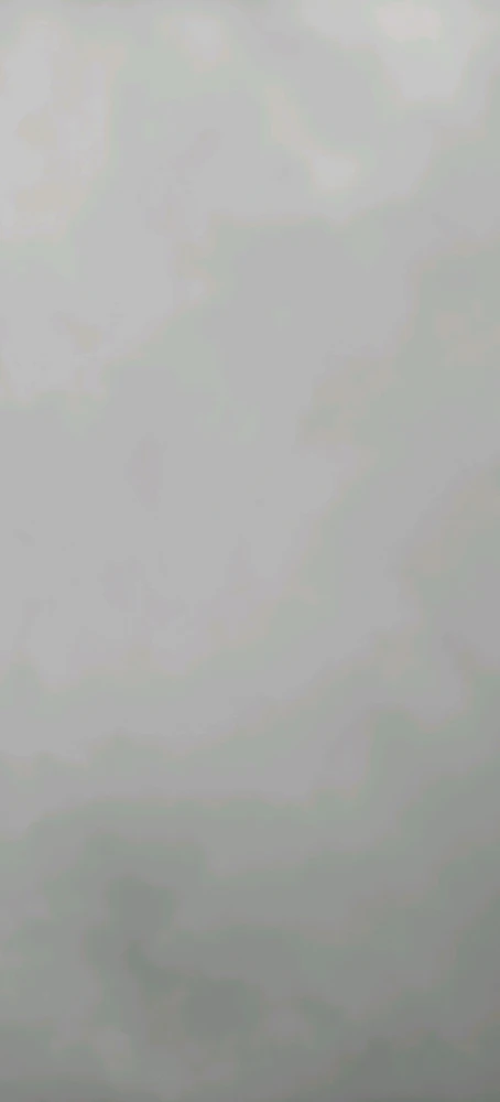由Dan上传的图片