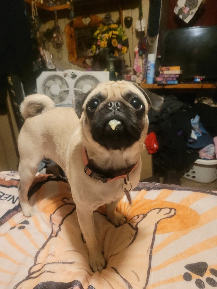 Image uploaded by Jessica