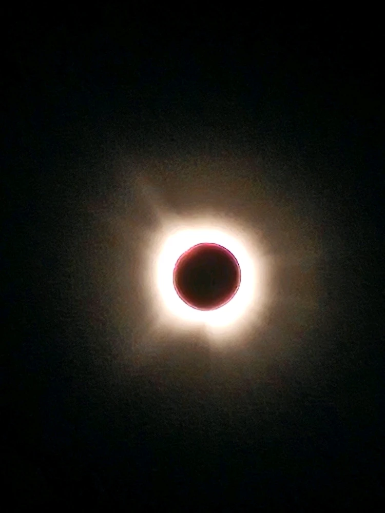 Image uploaded by 🌹𝓡𝓪𝓿𝓮𝓷 𝓡𝓸𝓼𝓮🌹