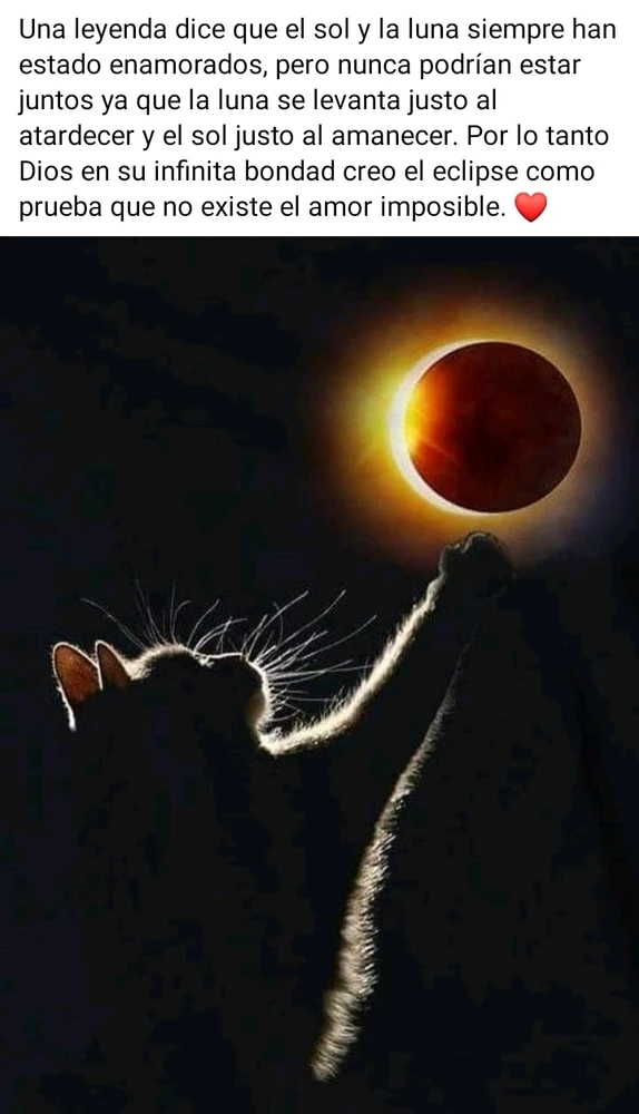 Imagen subida por Camila