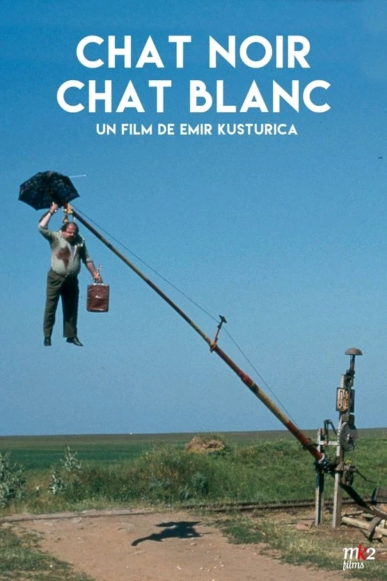 Image ajoutée par Kevin