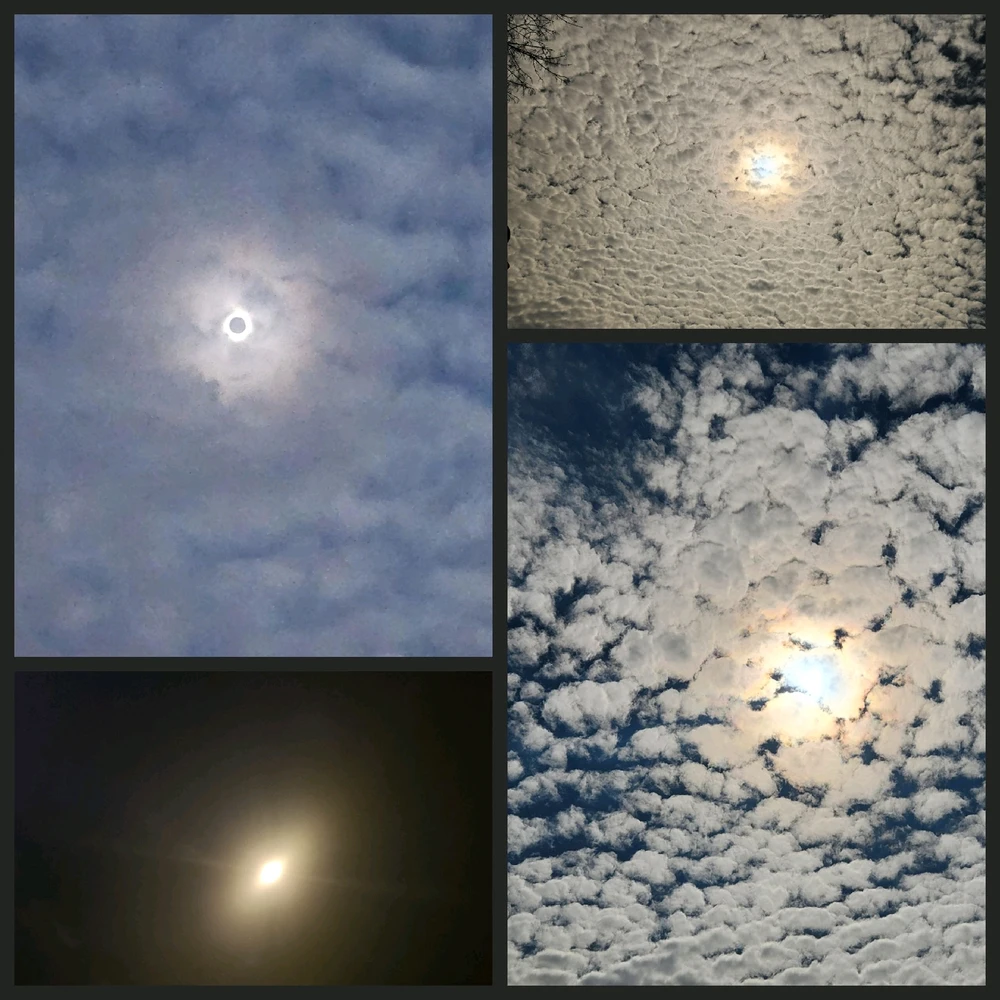 由Yaara上传的图片