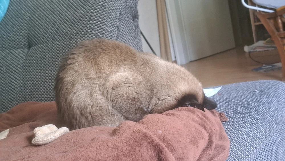 Bild hochgeladen von Lex