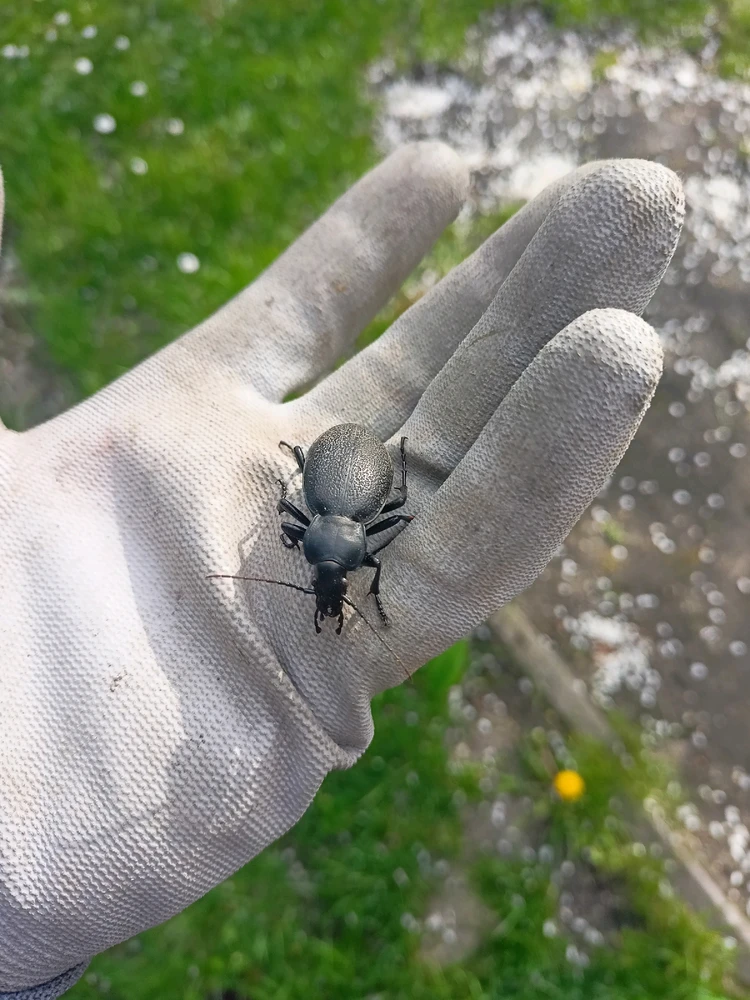 Zdjęcie dodane przez 🩸𝕯𝖆𝖗𝖐🦊𝕱𝖔𝖝🩸